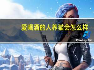 爱喝酒的人养猫会怎么样