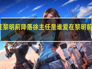 爱在黎明前降落徐主任是谁 爱在黎明前降落小说