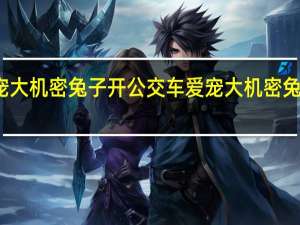 爱宠大机密兔子开公交车 爱宠大机密兔子叫什么