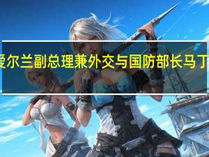 爱尔兰副总理兼外交与国防部长马丁将访华