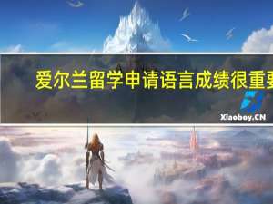 爱尔兰留学申请语言成绩很重要