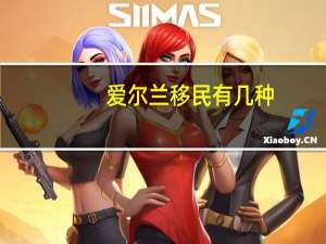 爱尔兰移民有几种