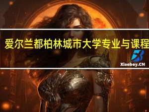 爱尔兰都柏林城市大学专业与课程设置