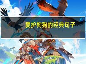 爱护狗狗的经典句子