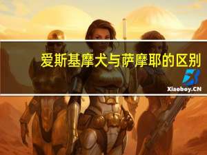 爱斯基摩犬与萨摩耶的区别