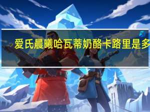 爱氏晨曦 哈瓦蒂奶酪卡路里是多少
