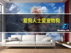 爱狗人士爱宠物狗