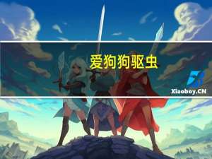 爱狗狗驱虫