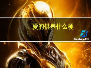 爱的供养什么梗