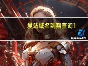 爱站域名到期查询 1.0 简体中文绿色免费版（爱站域名到期查询 1.0 简体中文绿色免费版功能简介）