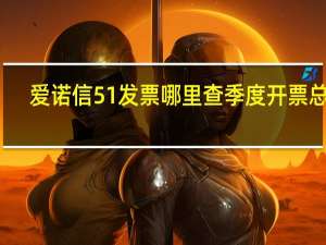 爱诺信51发票哪里查季度开票总额