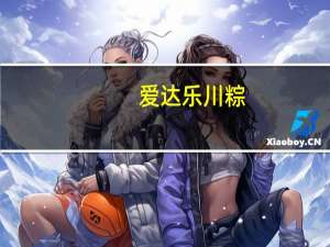 爱达乐 川粽(台湾龙腾福粽)的热量是多少