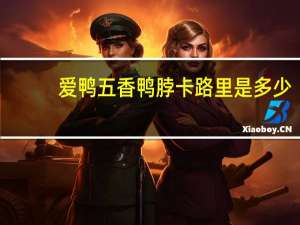 爱鸭 五香鸭脖卡路里是多少