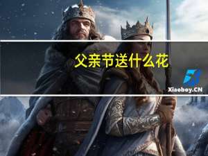 父亲节送什么花