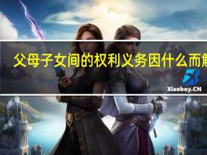父母子女间的权利义务因什么而解除