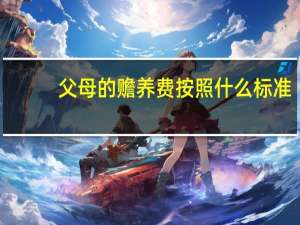 父母的赡养费按照什么标准
