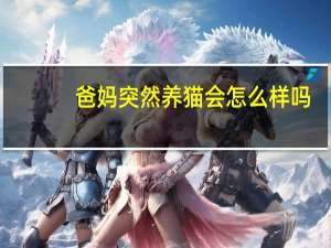 爸妈突然养猫会怎么样吗