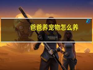 爸爸养宠物怎么养
