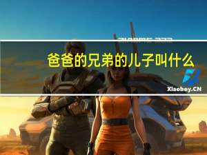 爸爸的兄弟的儿子叫什么