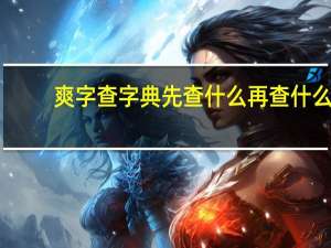 爽字查字典先查什么再查什么