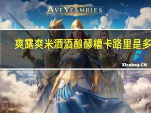 爽露爽 米酒酒酿醪糟卡路里是多少
