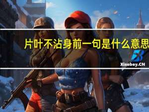 片叶不沾身前一句是什么意思