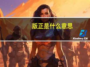 版正是什么意思