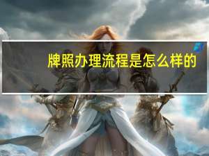 牌照办理流程是怎么样的