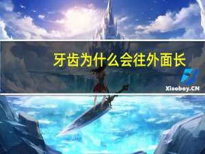 牙齿为什么会往外面长，为什么有些猫的牙在外面