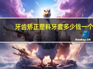 牙齿矫正塑料牙套多少钱一个 塑料牙套一个多少钱