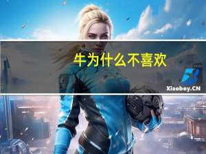 牛为什么不喜欢（人日牛为什么不拒绝）