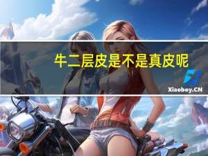 牛二层皮是不是真皮呢（牛二层皮是不是真皮）