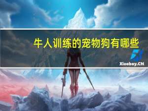 牛人训练的宠物狗有哪些