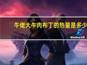 牛佬大 牛肉布丁的热量是多少