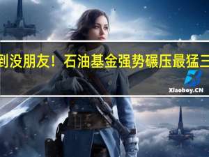 牛到没朋友！石油基金强势碾压最猛三年翻3倍