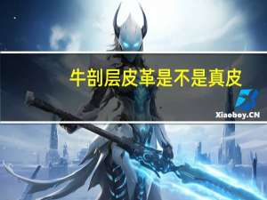 牛剖层皮革是不是真皮
