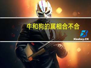 牛和狗的属相合不合