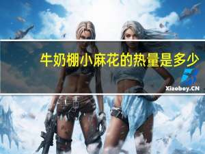 牛奶棚 小麻花的热量是多少