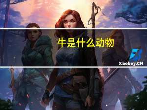 牛是什么动物