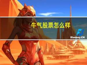 牛气股票怎么样