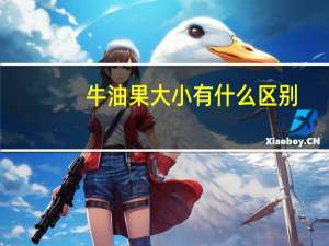 牛油果大小有什么区别