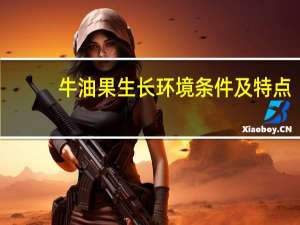 牛油果生长环境条件及特点