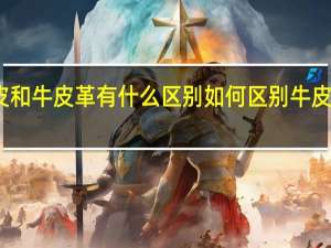 牛皮和牛皮革有什么区别 如何区别牛皮和牛皮革