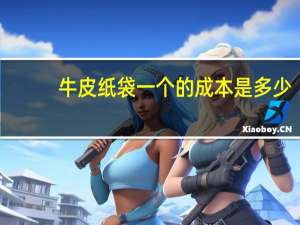 牛皮纸袋一个的成本是多少