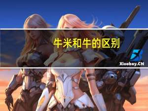 牛米和牛的区别