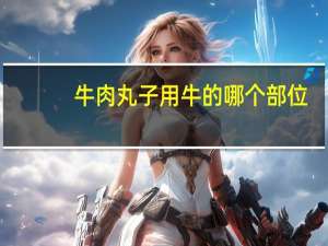 牛肉丸子用牛的哪个部位