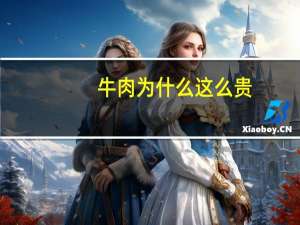 牛肉为什么这么贵