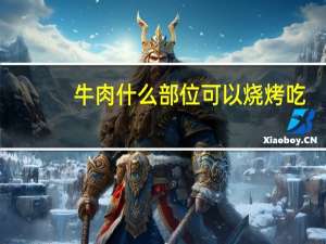 牛肉什么部位可以烧烤吃