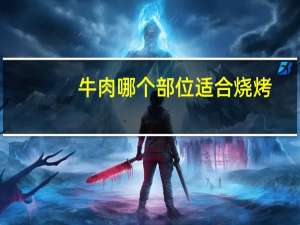 牛肉哪个部位适合烧烤