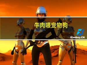 牛肉喂宠物狗